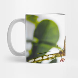 Flower with Butterfly Mug